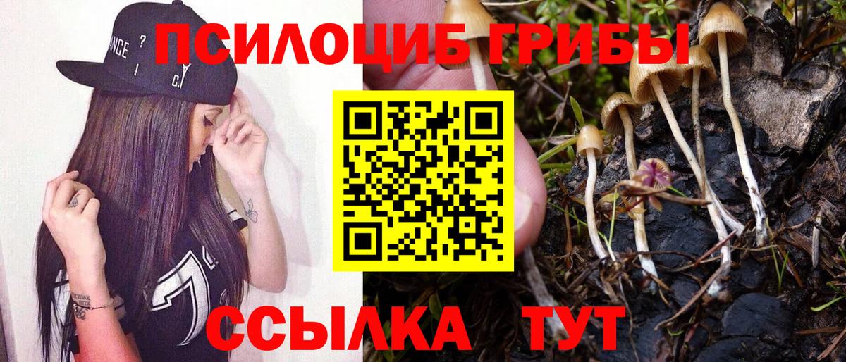 Галлюциногенные грибы Psilocybe Узловая