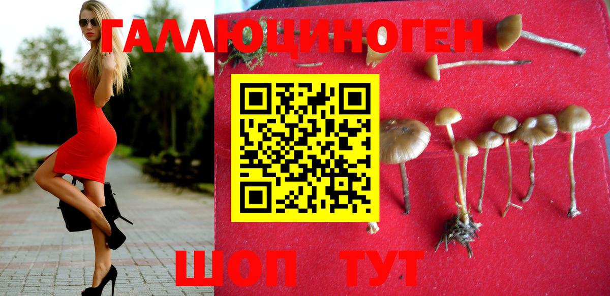 Узловая  Галлюциногенные грибы мухоморы  Вход с VPN 